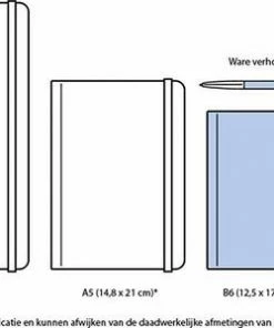 Lannoo Schoolagenda 2022-2023 Love Daisies 17 Lannoo Schoolagenda 2022-2023 Love Daisies -Parker IM Vibrant Ring Shop 550x300 10