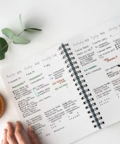 Balans Planner - Bye Bye Birdie -Parker IM Vibrant Ring Shop 550x361 1