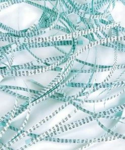 Rexel ProStyle+ SC Papierversnipperaar Voor Thuiskantoor/Thuiswerkplek - P- 1 Stroken - Invoer Tot 7 A4-Vellen - Vernietigt Documenten, Creditcards, Nietjes En Paperclips - Opvangbak Van 7 Liter - Zwart -Parker IM Vibrant Ring Shop 550x366 73