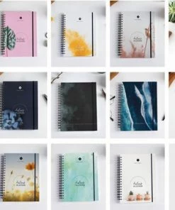 Balans Planner - Bye Bye Birdie -Parker IM Vibrant Ring Shop 550x373