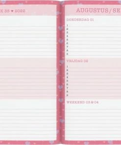 Lannoo Schoolagenda 2022-2023 Love Daisies 15 Lannoo Schoolagenda 2022-2023 Love Daisies -Parker IM Vibrant Ring Shop 550x380 4