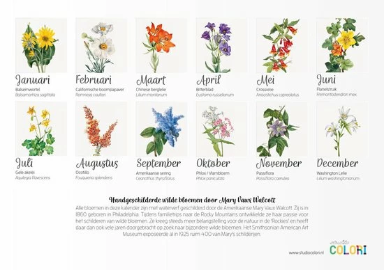 Studio Colori Verjaardagskalender Wilde Bloemen - Wandkalender A4 - Niet Jaargebonden 2 Studio Colori Verjaardagskalender Wilde Bloemen - Wandkalender A4 - Niet Jaargebonden - Afbeelding 2