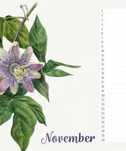 Studio Colori Verjaardagskalender Wilde Bloemen - Wandkalender A4 - Niet Jaargebonden 11 Studio Colori Verjaardagskalender Wilde Bloemen - Wandkalender A4 - Niet Jaargebonden -Parker IM Vibrant Ring Shop 550x390 1