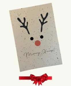 Groeikaartje Kerstkaart Met Enveloppen - 6 Stuks - Bloeikaart Met Zaadjes - Luxe Kerstkaart Van Groeipapier 10 Groeikaartje Kerstkaart Met Enveloppen - 6 Stuks - Bloeikaart Met Zaadjes - Luxe Kerstkaart Van Groeipapier -Parker IM Vibrant Ring Shop 550x390 3