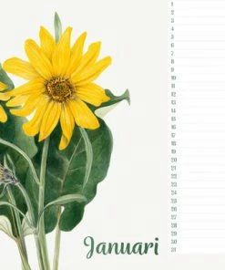 Studio Colori Verjaardagskalender Wilde Bloemen - Wandkalender A4 - Niet Jaargebonden 8 Studio Colori Verjaardagskalender Wilde Bloemen - Wandkalender A4 - Niet Jaargebonden -Parker IM Vibrant Ring Shop 550x403 2