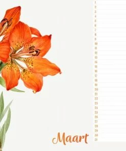 Studio Colori Verjaardagskalender Wilde Bloemen - Wandkalender A4 - Niet Jaargebonden 9 Studio Colori Verjaardagskalender Wilde Bloemen - Wandkalender A4 - Niet Jaargebonden -Parker IM Vibrant Ring Shop 550x407 4