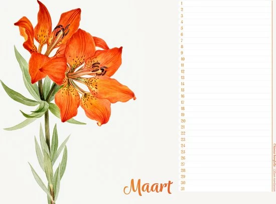 Studio Colori Verjaardagskalender Wilde Bloemen - Wandkalender A4 - Niet Jaargebonden 4 Studio Colori Verjaardagskalender Wilde Bloemen - Wandkalender A4 - Niet Jaargebonden - Afbeelding 4
