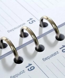 1111-76 Personal (Standaard) Organizer 1 Week Per 2 Paginas 2022-2023-2024 Croco Grijs Kalpa -Parker IM Vibrant Ring Shop 550x412 12