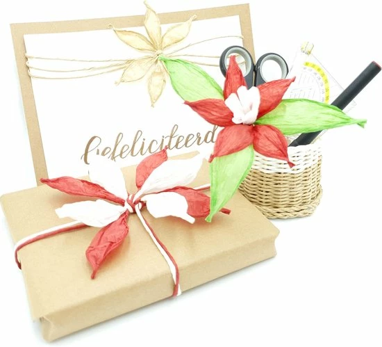 Bau Mart Un Ko ECO Wit Papier Touw Koord Twijnen - 100M - 2mm - Voor Cadeauversiering, Tassen, Hoeden, Borduurwerk, Knutselen, Natuurlijk En Duurzaam Papiergaren - Hobby DIY Koord 8 Bau Mart Un Ko ECO Wit Papier Touw Koord Twijnen - 100M - 2mm - Voor Cadeauversiering, Tassen, Hoeden, Borduurwerk, Knutselen, Natuurlijk En Duurzaam Papiergaren - Hobby DIY Koord - Afbeelding 8