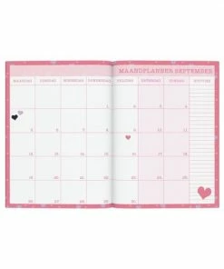 Lannoo Schoolagenda 2022-2023 Love Daisies 13 Lannoo Schoolagenda 2022-2023 Love Daisies -Parker IM Vibrant Ring Shop 550x550 298