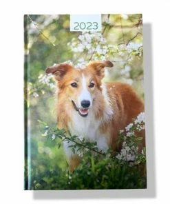 Design Hardcover Agenda 2023 - Hond - A5 15x21cm - 1w/2p
