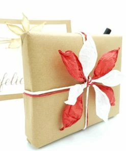 Bau Mart Un Ko ECO Wit Papier Touw Koord Twijnen - 100M - 2mm - Voor Cadeauversiering, Tassen, Hoeden, Borduurwerk, Knutselen, Natuurlijk En Duurzaam Papiergaren - Hobby DIY Koord 14 Bau Mart Un Ko ECO Wit Papier Touw Koord Twijnen - 100M - 2mm - Voor Cadeauversiering, Tassen, Hoeden, Borduurwerk, Knutselen, Natuurlijk En Duurzaam Papiergaren - Hobby DIY Koord -Parker IM Vibrant Ring Shop 550x568