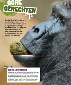 National Geograpic Junior National Geographic Junior Extreme Viespeuken -Parker IM Vibrant Ring Shop 550x710