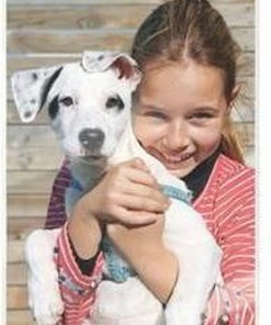 Leitz ILAM UDT Lamineerhoezen A5 125 Micron 100 Stuks -Parker IM Vibrant Ring Shop 550x723