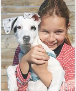 Leitz ILAM UDT Lamineerhoezen A5 125 Micron 100 Stuks -Parker IM Vibrant Ring Shop 550x761