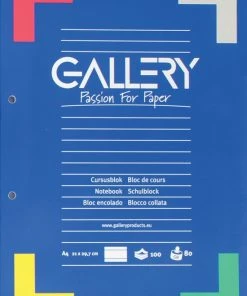 Gallery Cursusblok, Ft A4, 80 G/m², 2-gaatsperforatie, Gelijnd, 100 Vel -Parker IM Vibrant Ring Shop 550x782 3