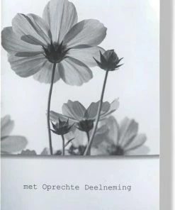 RS C&C 10 Cards & Crafts Condoleance Kaarten - Gecondoleerd / Met Oprechte Deelneming / Sterkte - 16x11cm -Parker IM Vibrant Ring Shop 550x832